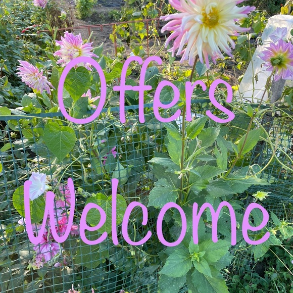 Vintage clothing with attitude - Picture 1 of 1